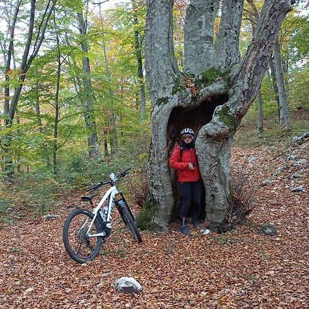 Villa la bottega del fabbro affitto breve Contigliano Esterno foto