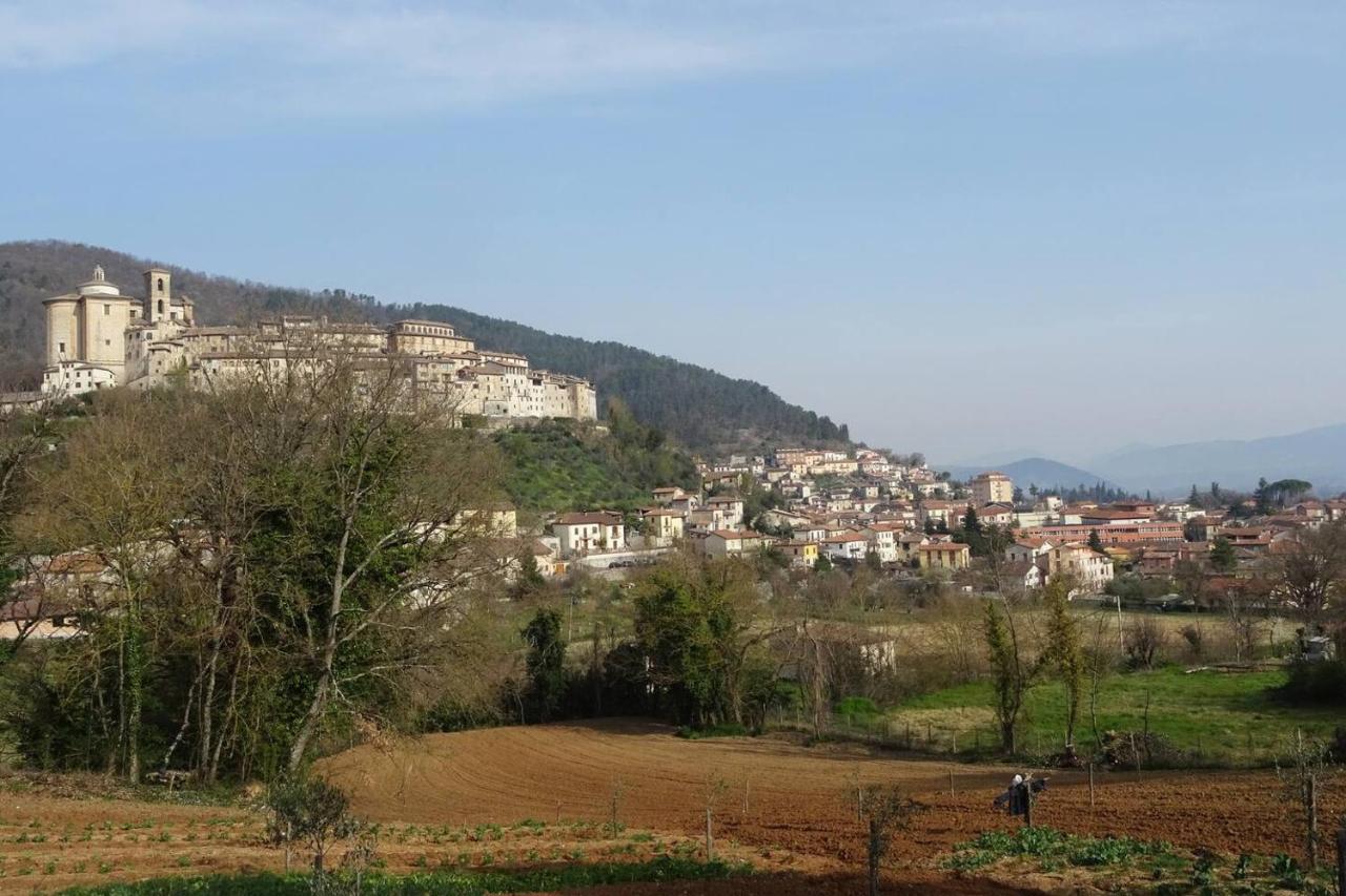 Villa la bottega del fabbro affitto breve Contigliano Esterno foto