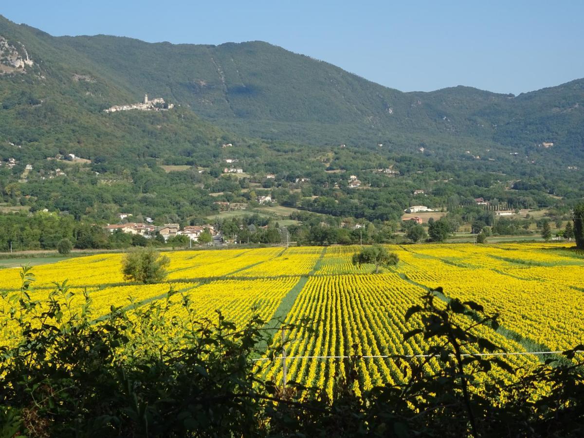 Villa la bottega del fabbro affitto breve Contigliano Esterno foto