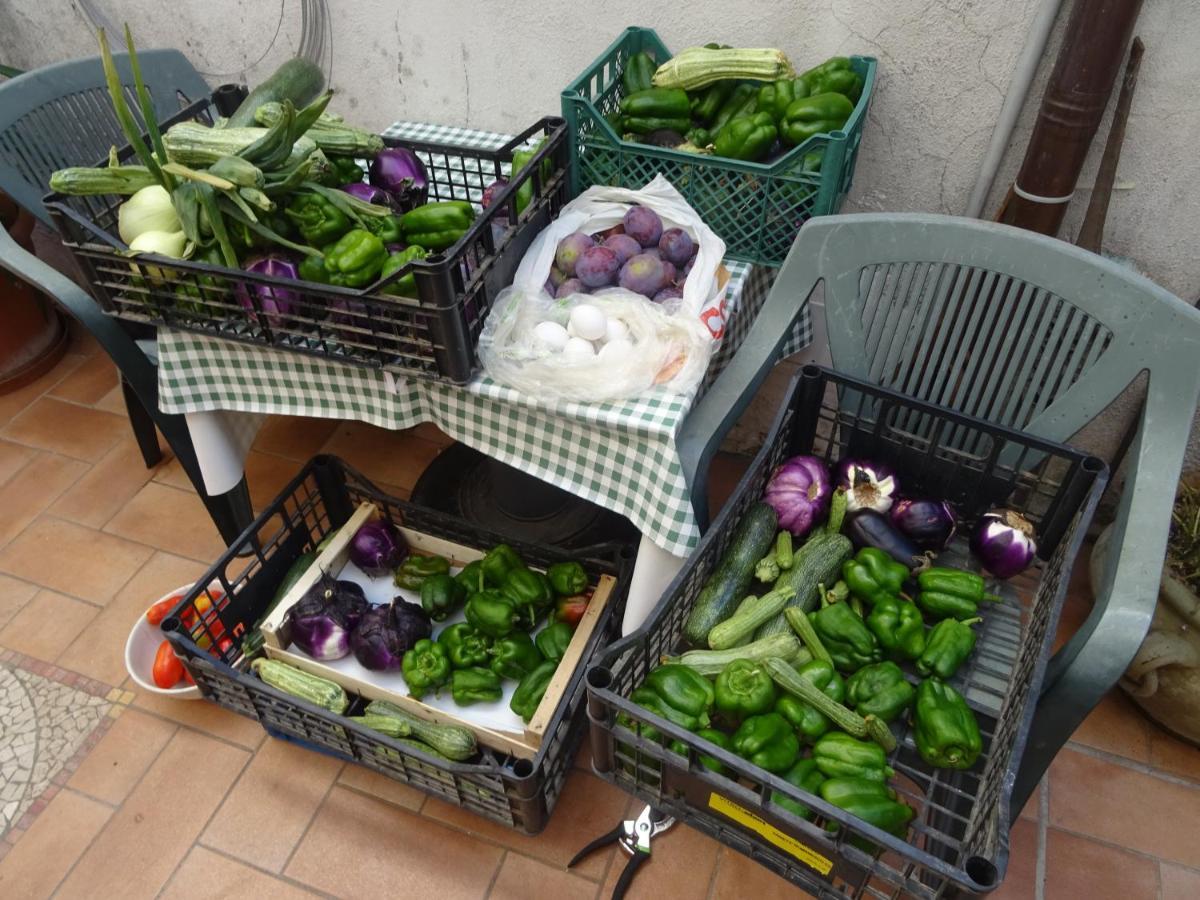 Villa la bottega del fabbro affitto breve Contigliano Esterno foto