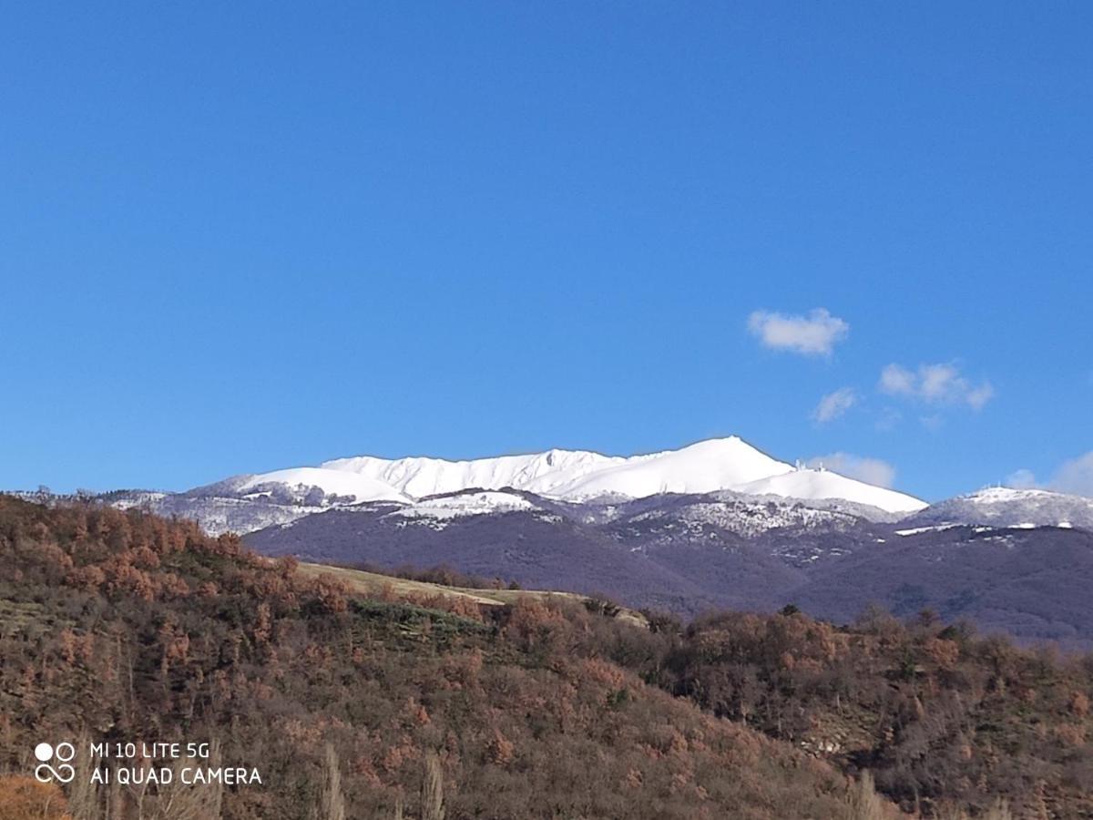 Villa la bottega del fabbro affitto breve Contigliano Esterno foto
