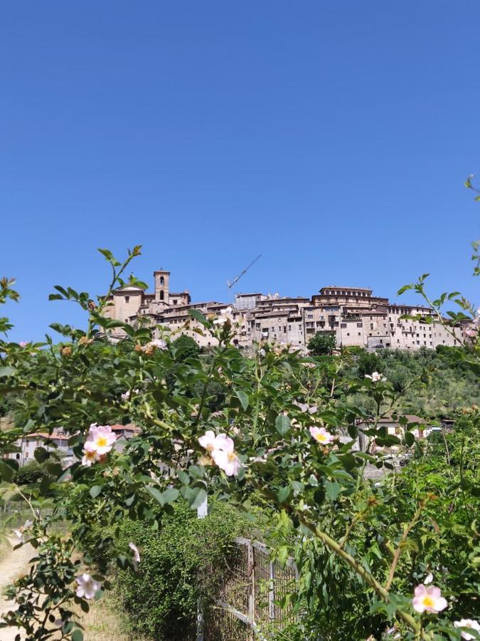 Villa la bottega del fabbro affitto breve Contigliano Esterno foto